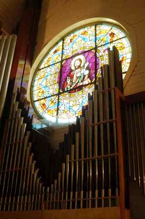 organ